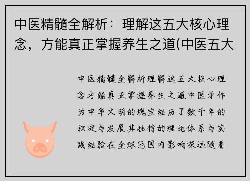 中医精髓全解析：理解这五大核心理念，方能真正掌握养生之道(中医五大核心理论)